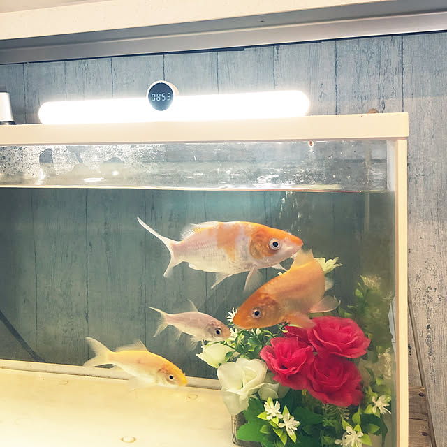 miyupannaさんの部屋