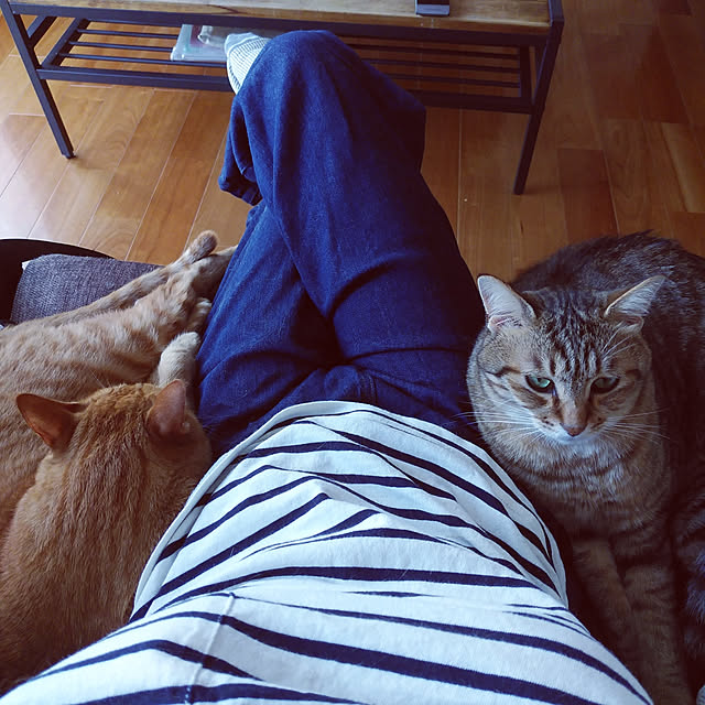 annさんの実例写真