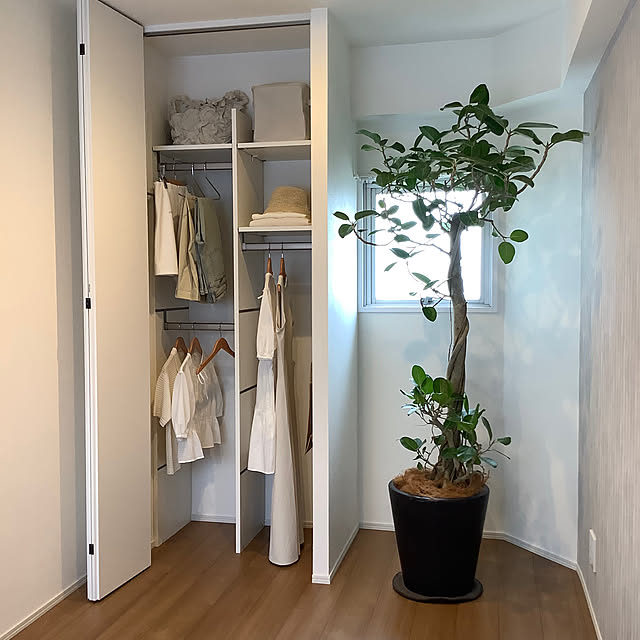 naive.coccoさんの部屋