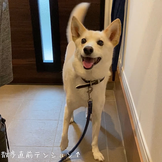 tanboさんの実例写真