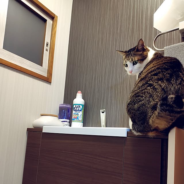 nachiさんの部屋