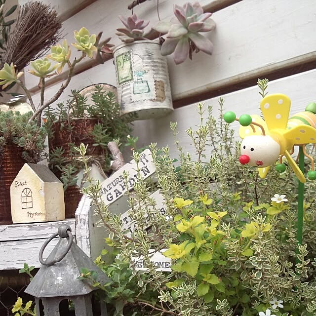 kokkomachaさんの実例写真