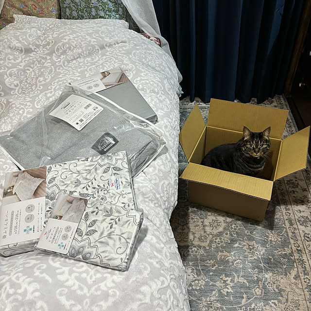 momocchiさんの実例写真