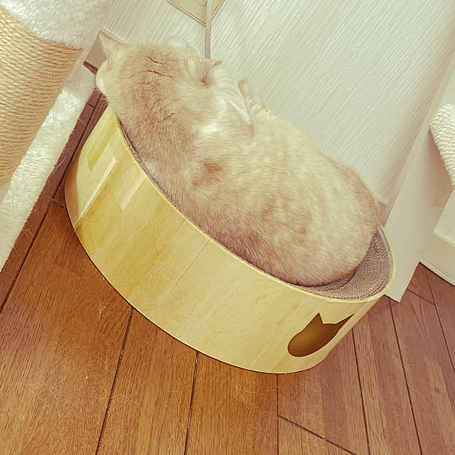 lippieさんの実例写真