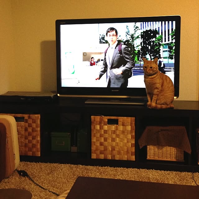 cyato_nyanさんの実例写真