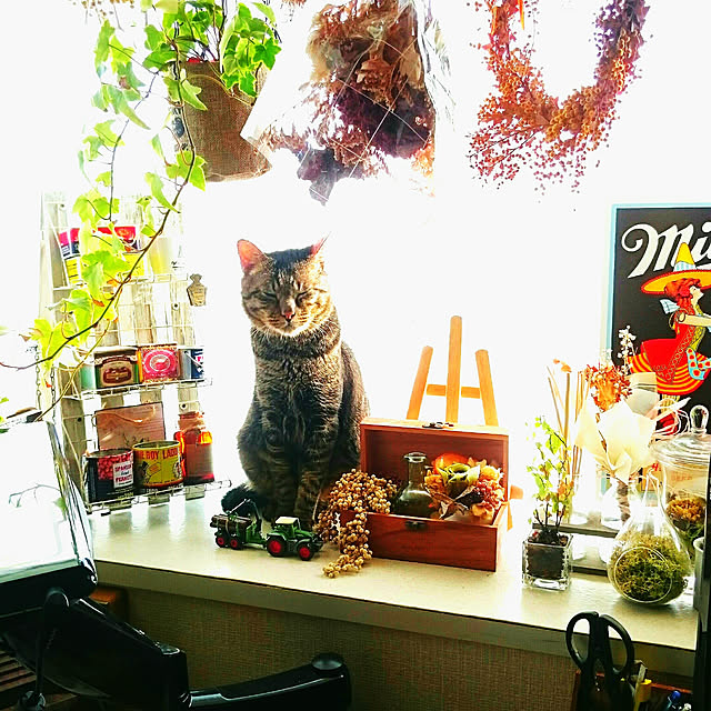 ken.kawakamiさんの実例写真
