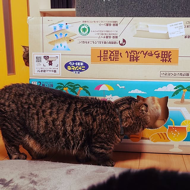 noguriさんの部屋