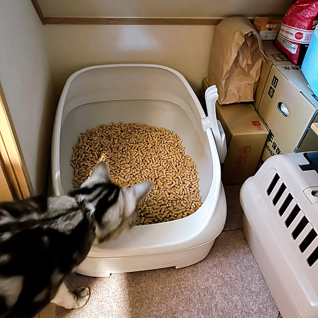 yuccoさんの部屋