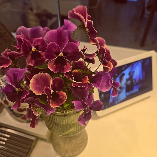 mutyukingさんの実例写真