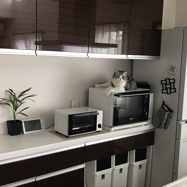 Dahliaさんの実例写真