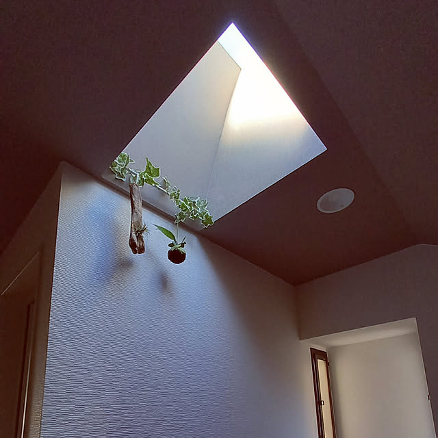 sakuzoさんの実例写真