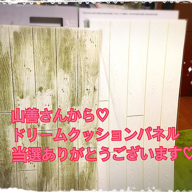 usagi223さんの実例写真