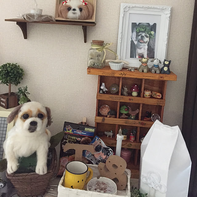 emiさんの実例写真