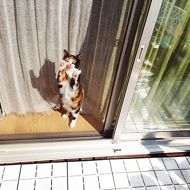 aiさんの実例写真