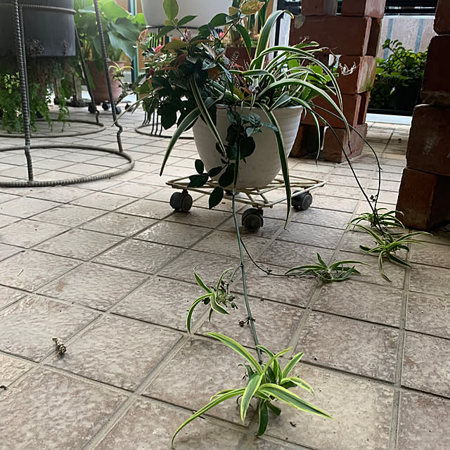 Aqettyさんの部屋