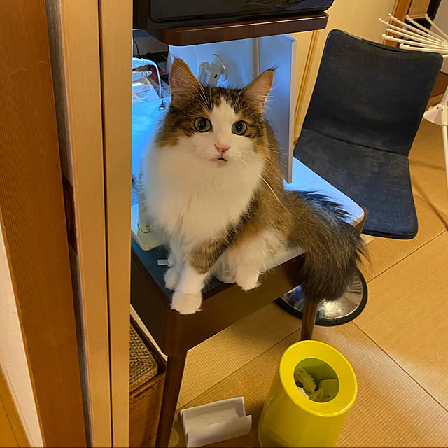 a-m-aさんの実例写真