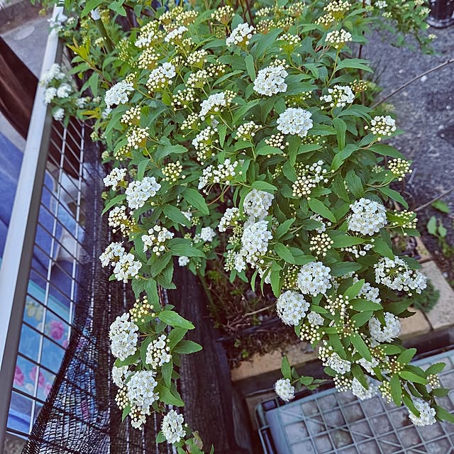 mocomocoさんの部屋
