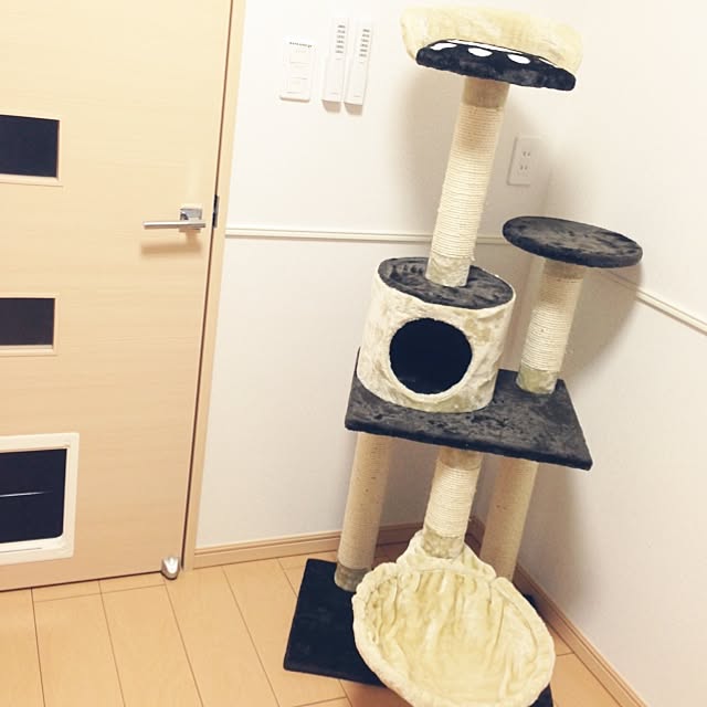 tangoさんの実例写真