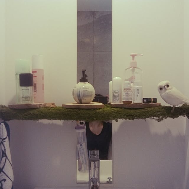 バス/トイレのインテリア実例 - 2016-01-31 13:33:03