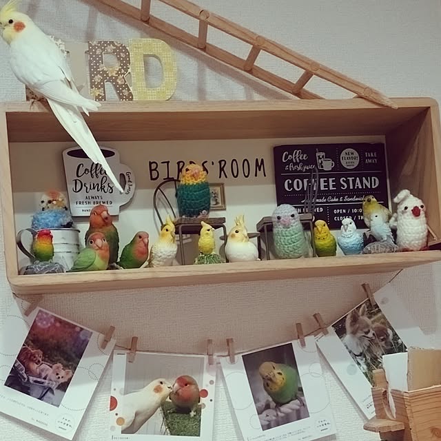 toratanさんの実例写真