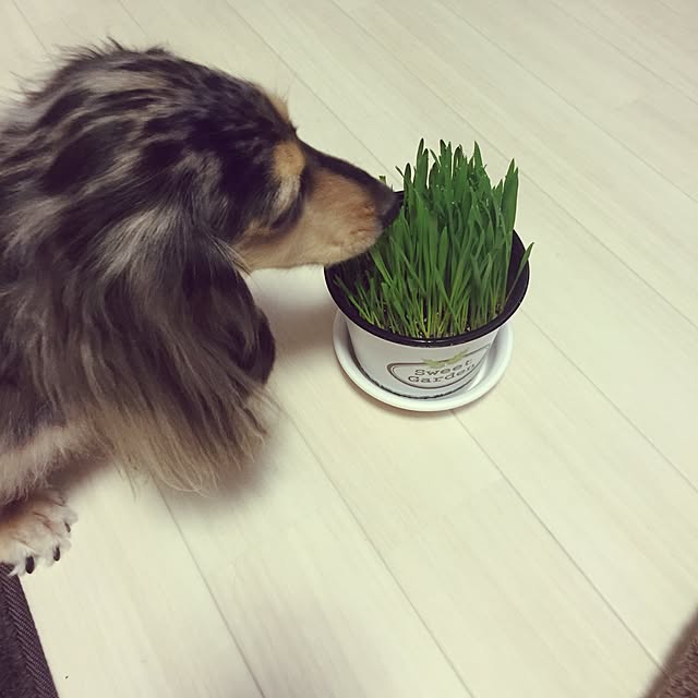tomoxxさんの実例写真