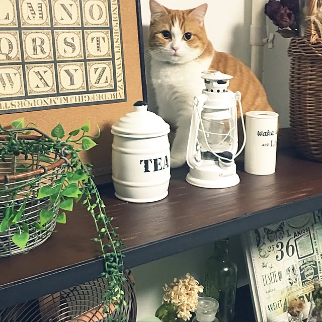 teikon0212さんの実例写真