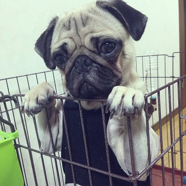 jdannabcさんの実例写真