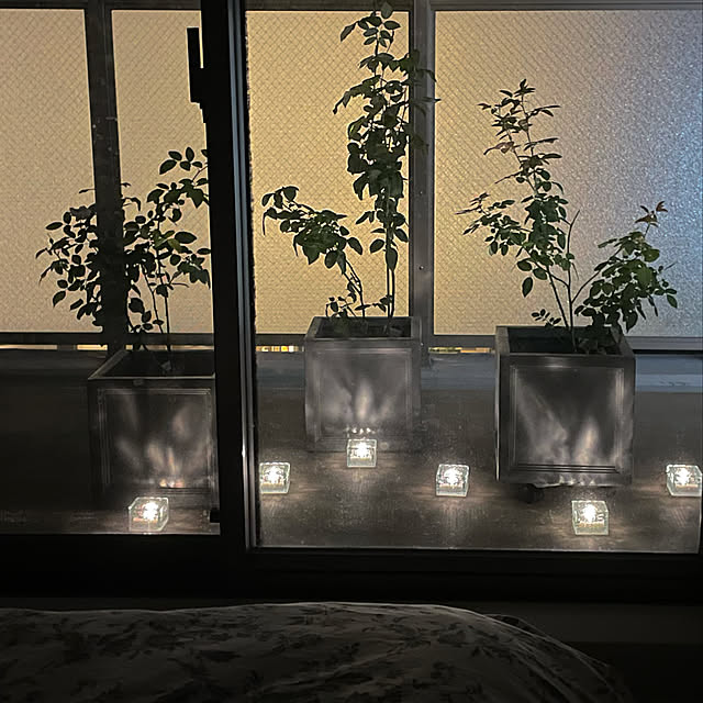 KLさんの実例写真