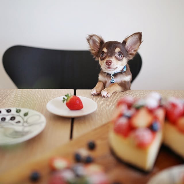 hanayuriさんの実例写真
