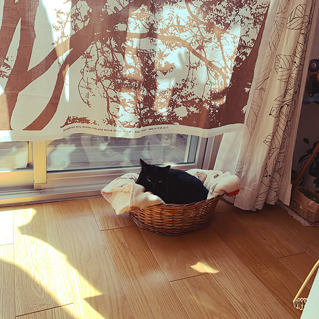 tuuri/marimekko/リビングのインテリア実例 - 2023-02-23 10:09:52