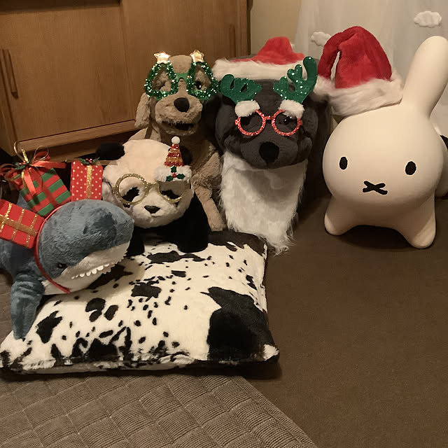 eighterさんの実例写真
