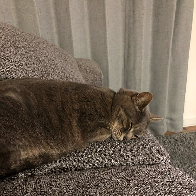 mokaさんの実例写真