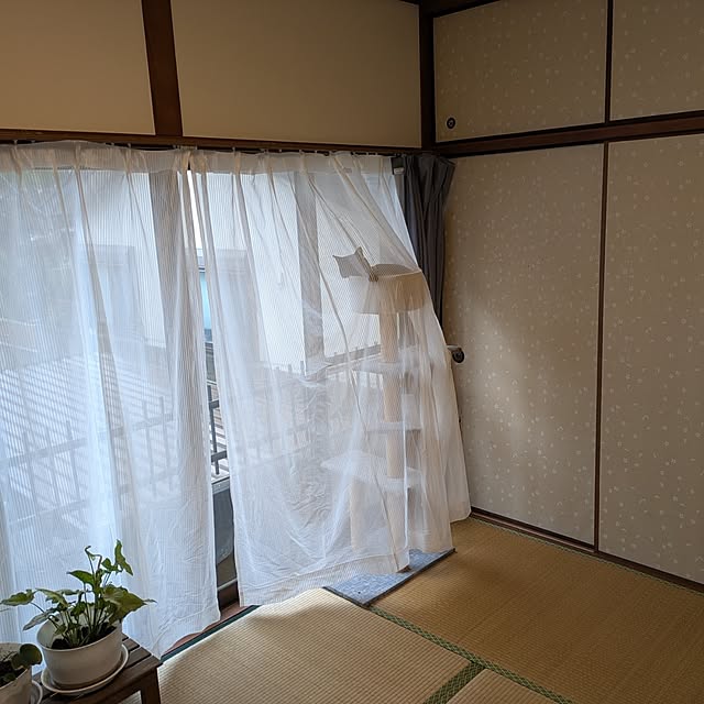 asaさんの部屋