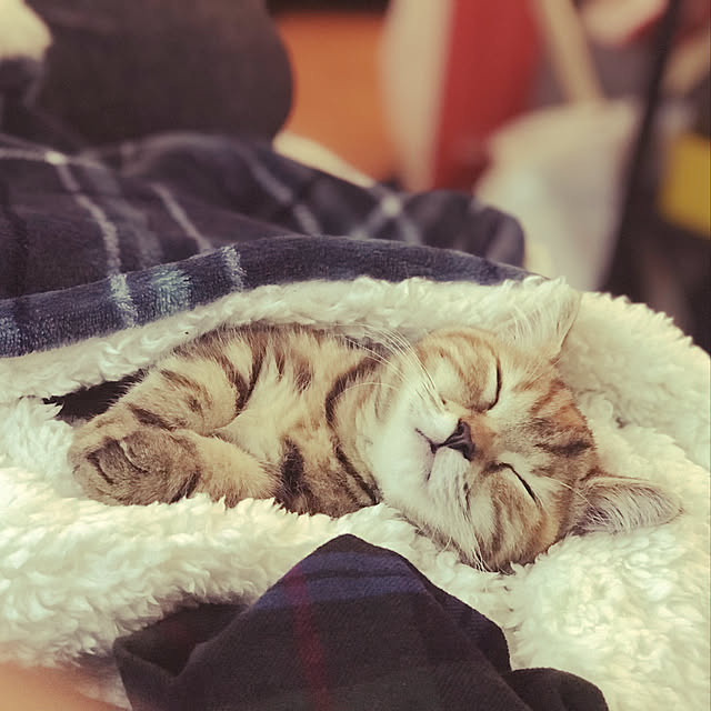 aaddさんの実例写真