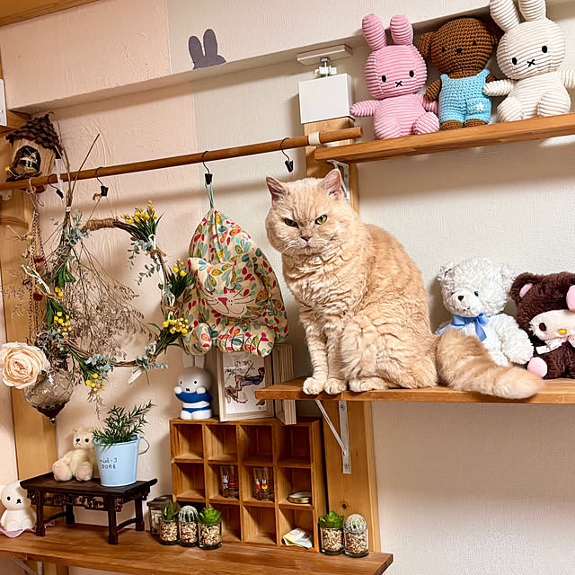 naokoさんの実例写真