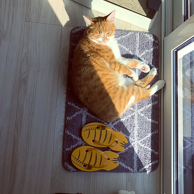 myuuさんの実例写真