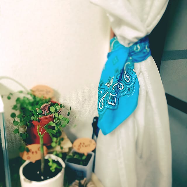 cocoさんの実例写真