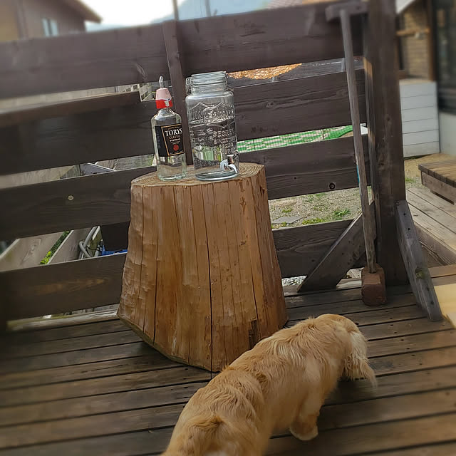 ciiiさんの実例写真