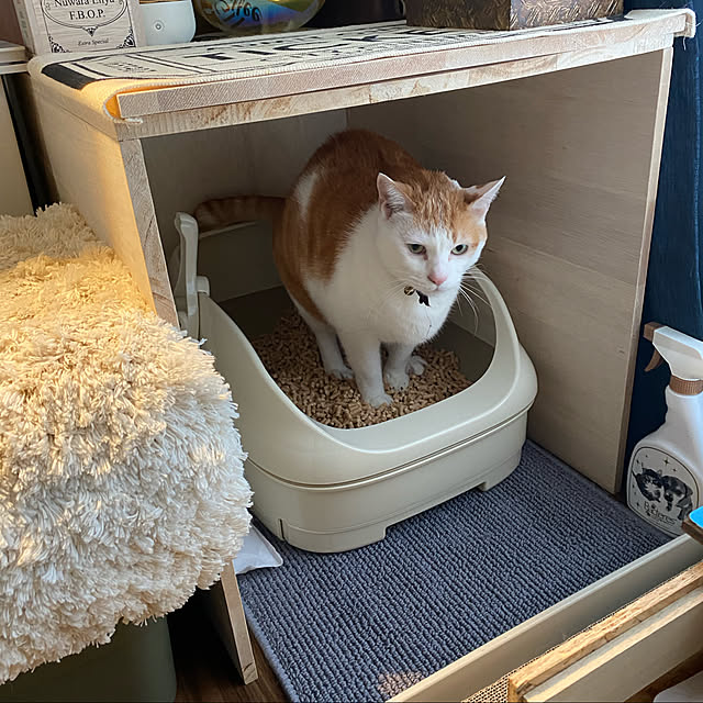 porinさんの実例写真