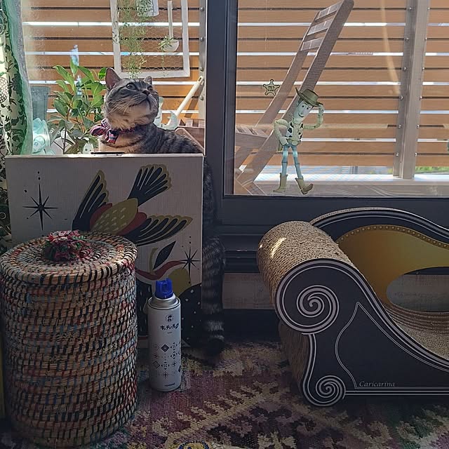 hiro3さんの部屋
