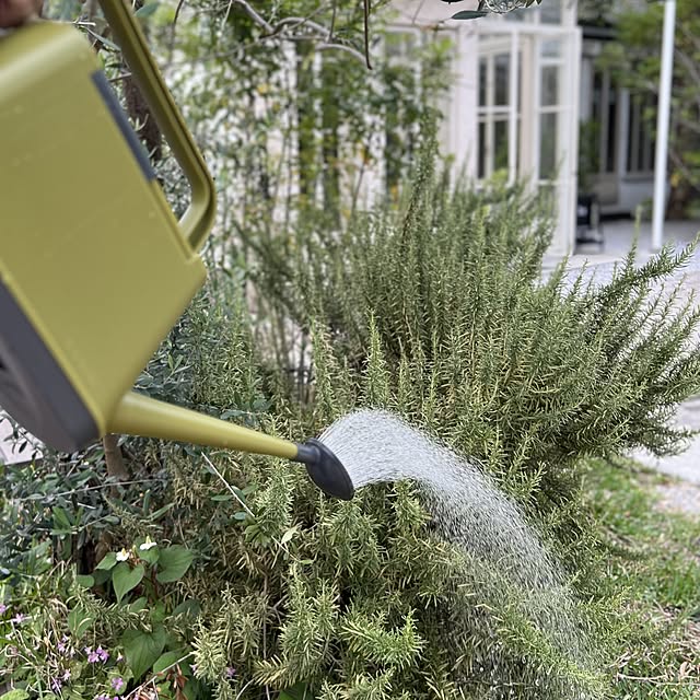 Royal_Gardeners_Clubさんの実例写真