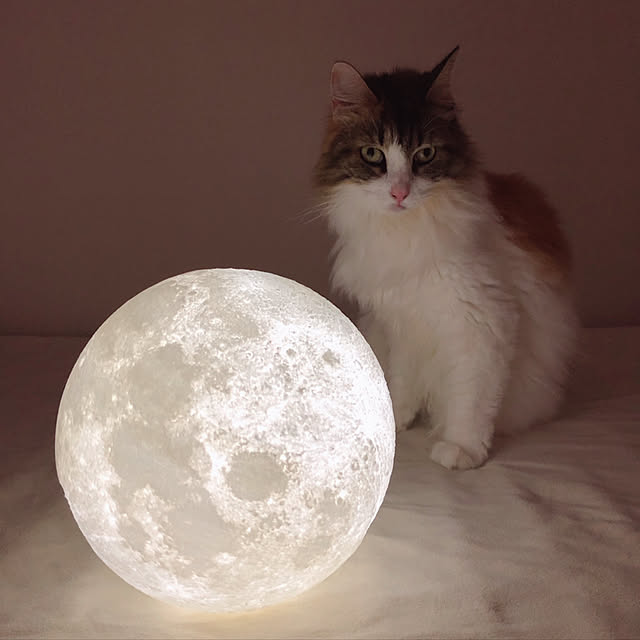 jabo_222さんの実例写真