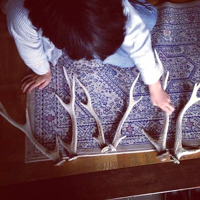 miiさんの実例写真