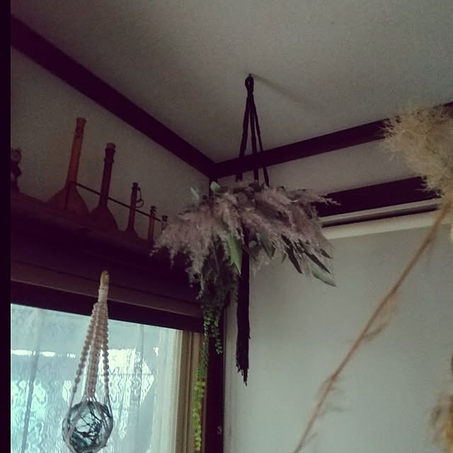 koyutan-mjmさんの部屋