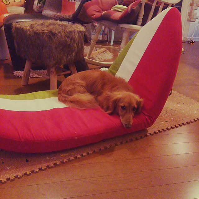chako.さんの実例写真