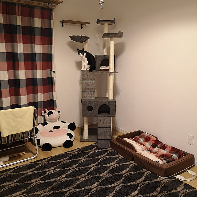 kakichamaさんの実例写真