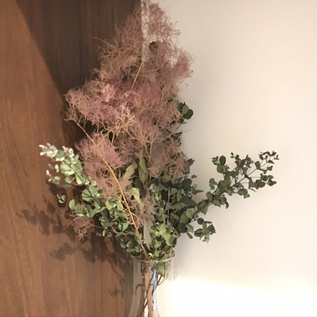 sakineko528さんの実例写真