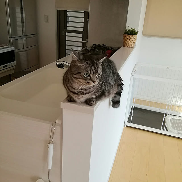 marutinoさんの実例写真