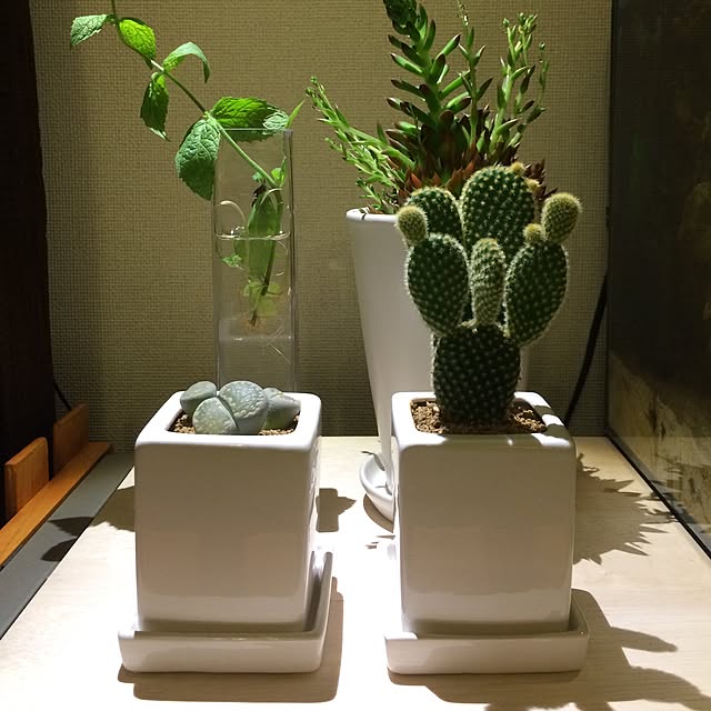 Taketoさんの実例写真