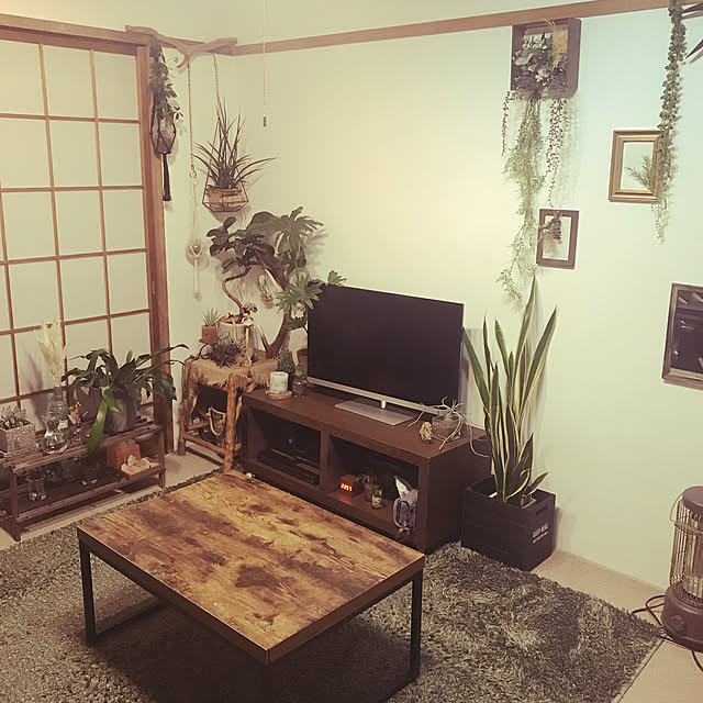 purifyさんの実例写真
